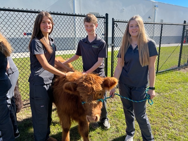 original-50355CDA-CBE0-4199-8956-9BDF83E1AE18